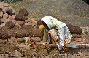 An elder woman preparing dung cakes to be used for burning purposes