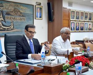 Interim Minister for Energy Muhammad Ali held a meeting with National Transmission and Dispatch Company (NTDC) wherein MD NTDC highlighted company profile, future expansion plan, major recent achievements and issues being faced by them.
