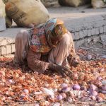 An elderly woman searching onions from trash at a vegetable market