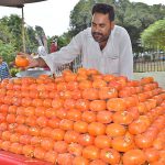 A vendor selling seasonal fruit on his cart.
