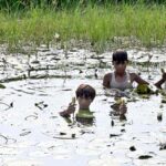 Youngster plucking seasonal flowers from ditch of deep water near Moen-Jo-Daro Airport Road.