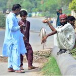 A vendor displaying and selling fish to customers at roadside