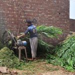 A worker is cutting fodder for animals at his workplace