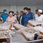 Chairperson Senate Standing Committee on Maritime Affairs Senator Rubina Khalid inspecting a seafood processing unit at Korangi Fisheries Harbour Authority (KoFHA)