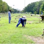 Gardeners of the Parks and Horticulture Authority (PHA) are busy their work to enhance the beautification of Jillani Park
