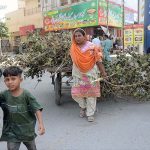 Woman pulling tree branches on cart for domestic use