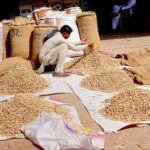 A shopkeeper displays peanuts to attract customers at the Grain Market