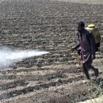 Farmer is spraying pesticides at his farm field.