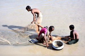 Fishermen catching the fishes in traditional way at Rice Canal
