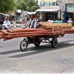 Bamboo loading tricycle rickshaw heading towards on its way