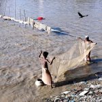 Fisherman catching fish in a traditional way from Rice Canal