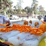 Vendor displaying and selling Papaya at his cart