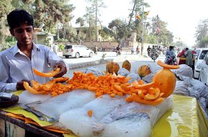 Vendor displaying and selling Papaya at his cart