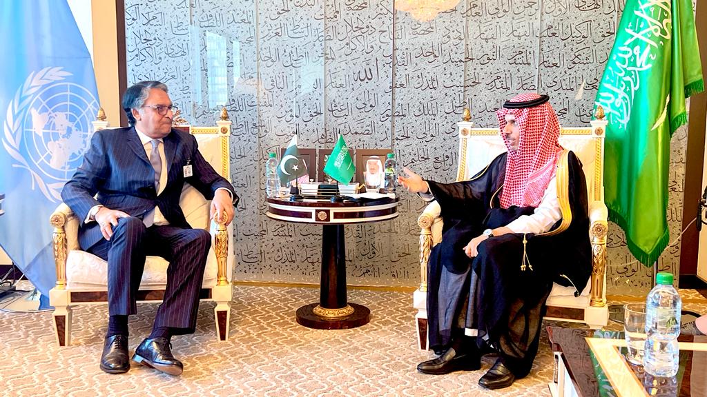 Pakistan, Saudi Arabia agree to deepen cooperation in all fields