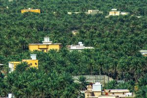 Saudi Arabia, UNESCO launch “Dive into Heritage" initiative to promote, conserve world heritage sites for future generations