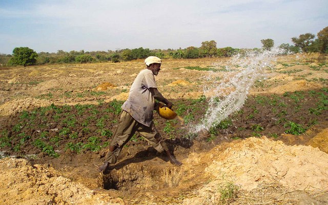 Five-day int’l moot on sustainable agriculture, food security concludes