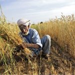 USAID Agri Training KP