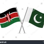 Kenya intends to avail Pakistani experience: Christine Chesaro