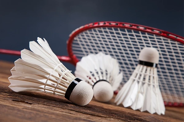 Inter-collegiate boys badminton tournament kicks off