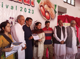 Pakistan's cash crop Peanut holds massive economic potential amid collaborative efforts, innovation