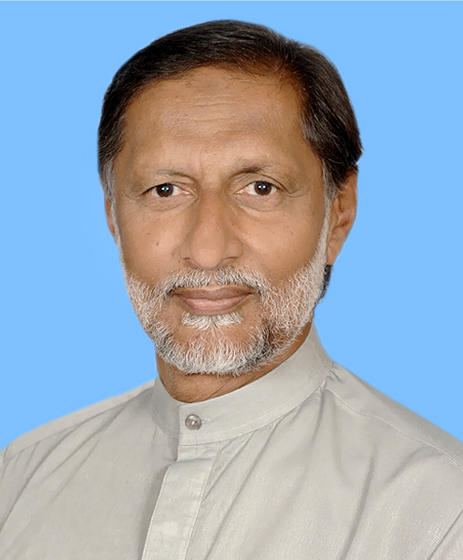 Ameer Ali Shah