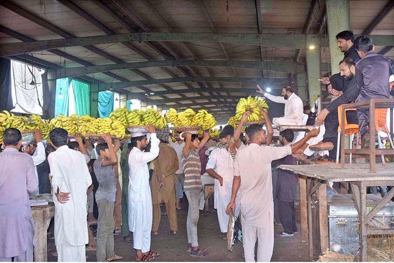 Traders displaying bananas during the auction as shopkeepers participate in the bidding at the Fruit Market