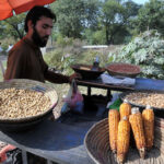 A vendor roasting corn cobs for customers at his roadside setup