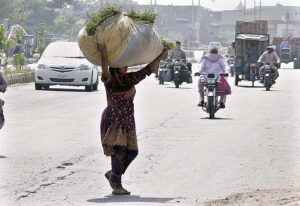 A woman crossing road while carrying huge bundle of grass on her head. 