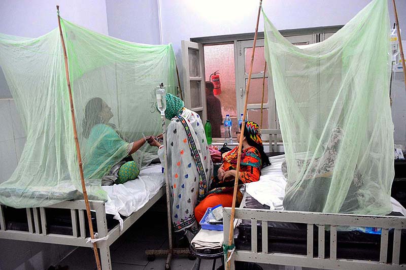 Dengue patients being treated at Bhitai Hospital as dengue fever is spreading at an alarming proportion in the city
