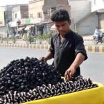 A vendor displaying seasonal fruit (singhara) to attract the customers at his handcart.