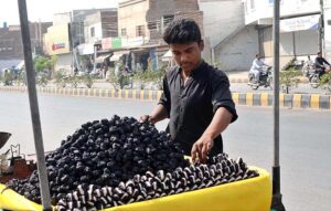 A vendor displaying seasonal fruit (singhara) to attract the customers at his handcart. 