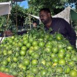 A vendor arranging and displaying orange on his cart to attract the customers in front of Company Bagh