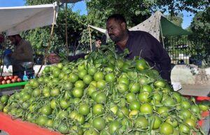 A vendor arranging and displaying orange on his cart to attract the customers in front of Company Bagh