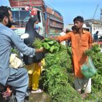 People purchasing spinach from vendor at Vegetable Market