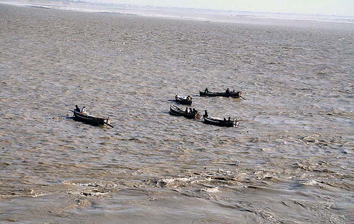Fishermen catching the fish at Indus river