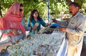 Women customers selecting and purchasing stone decoration items from a roadside vendor on GT Road.