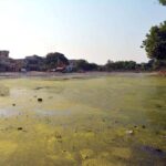 A view of sewerage water accumulated at Istaqlala Abad Ground creating environment problems and needs the attention of concerned authorities
