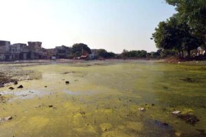 A view of sewerage water accumulated at Istaqlala Abad Ground creating environment problems and needs the attention of concerned authorities