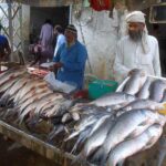 Vendor selling fish to attract customers on his stall at Sargodha Road