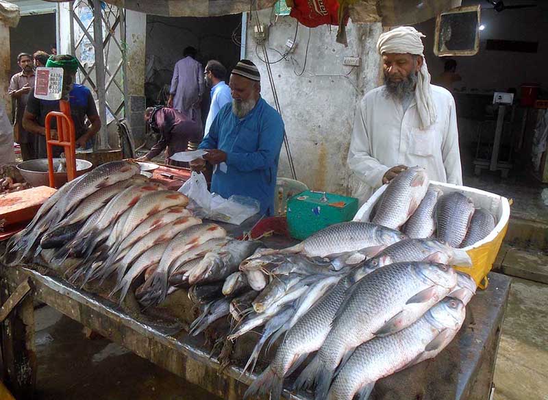 Vendor selling fish to attract customers on his stall at Sargodha Road