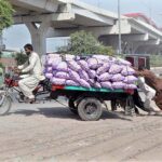 People pushing an out-of-order tricycle rickshaw loaded with garlic bags