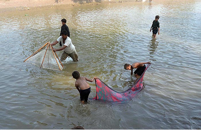 Youngsters busy in catching fish with the help of a piece of cloth and net from canal.