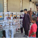 A vendor displaying colorful fishes to attract the customer at fort road