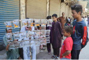 A vendor displaying colorful fishes to attract the customer at fort road