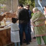 Families enjoying at Lahore Zoo during holiday in the Provincial Capital.