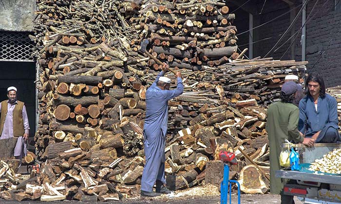 Labourer busy in cutting wood into pieces at his workplace in Federal Capital.