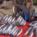 A vendor displaying and selling fish to attract customers near Yakki Gate