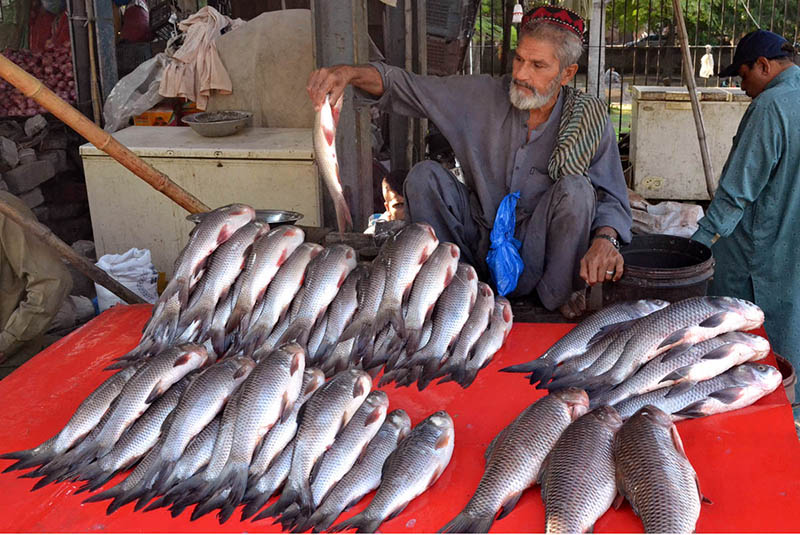 A vendor displaying and selling fish to attract customers near Yakki Gate
