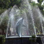 A beautiful view of fountain at Lahore Zoo.