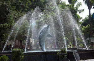 A beautiful view of fountain at Lahore Zoo. 